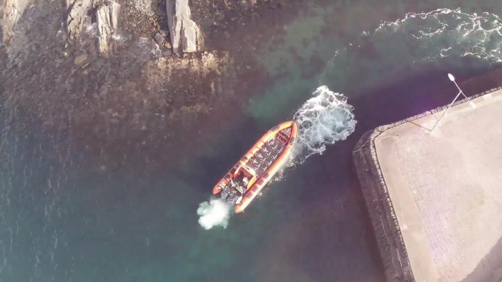 'Video thumbnail for Seafari Adventures | Fun Things to Do in Scotland | Wild About Argyll'