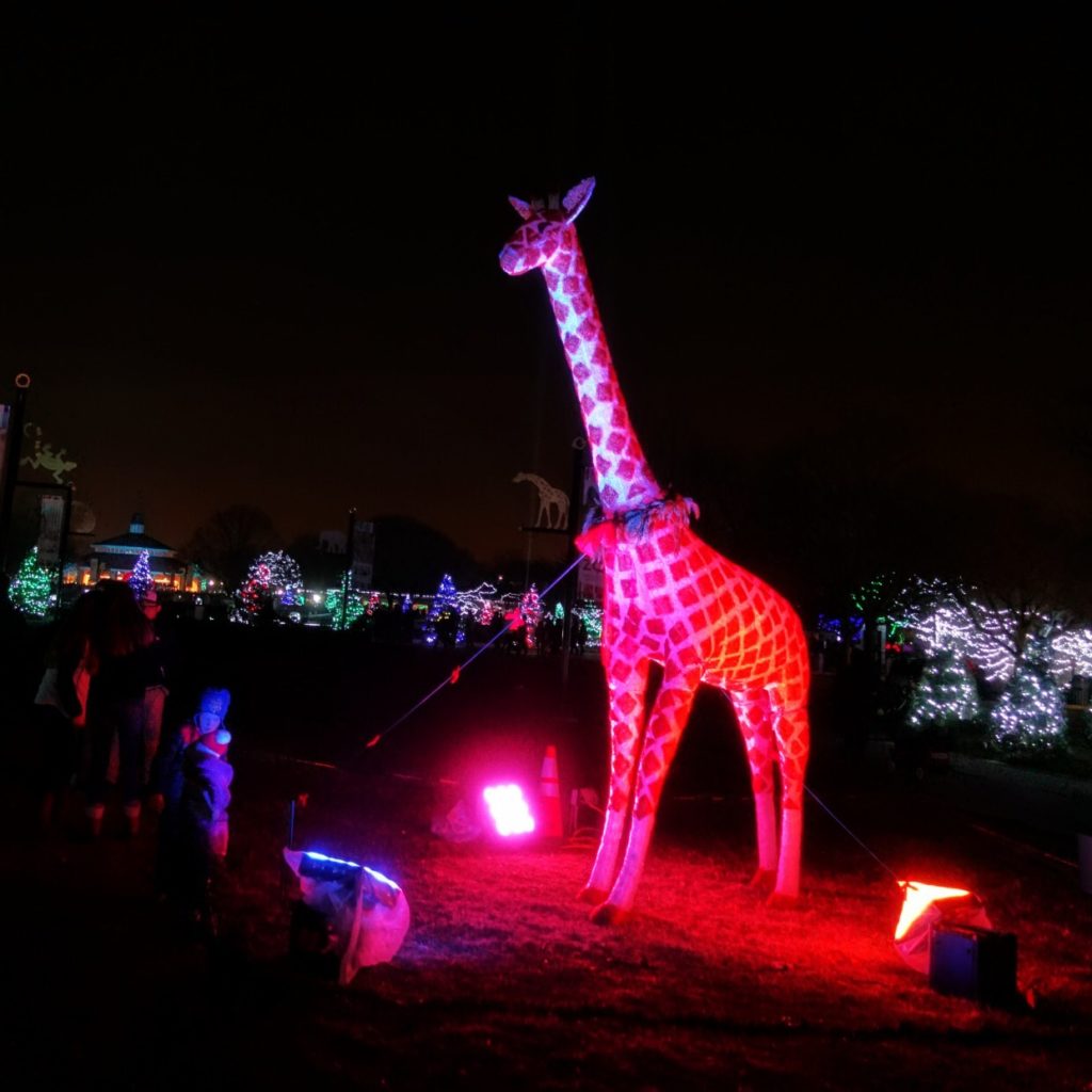 Brookfield Zoo Holiday Magic Bright Lights. Magical Nights