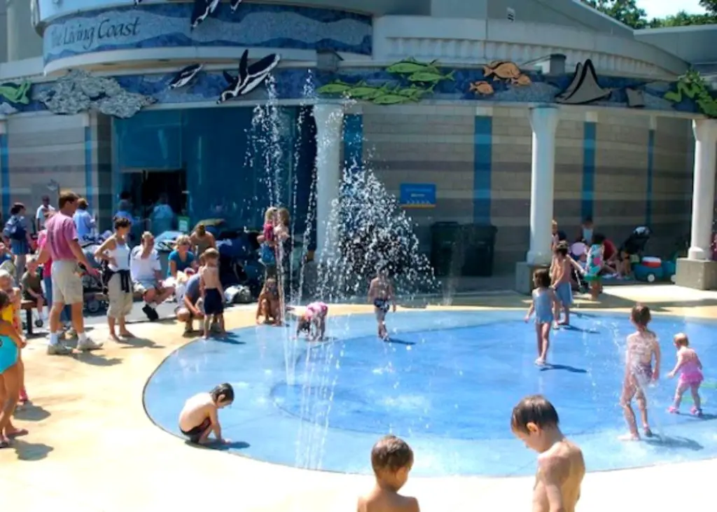 Splash Pad at Koch Park - Capri Pool