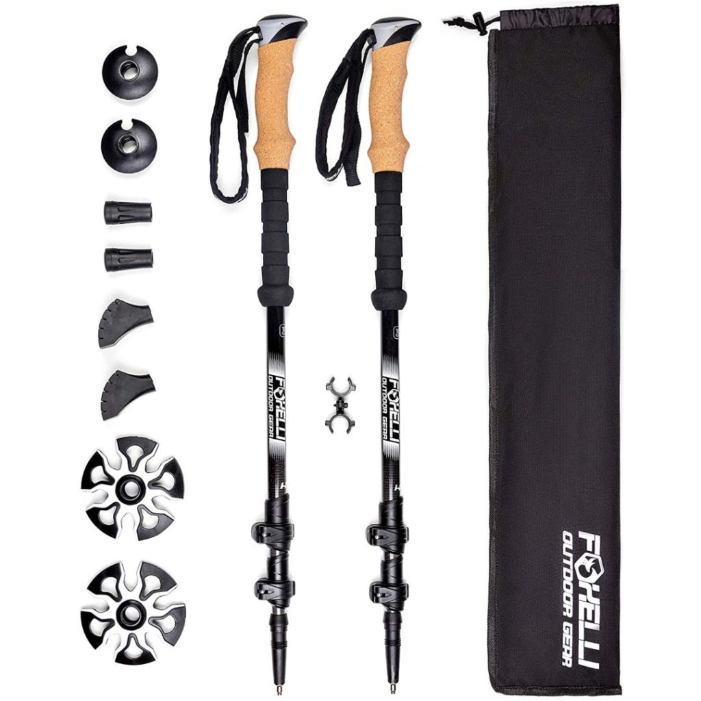 10 Best Trekking Poles of 2024 Finding the Right Poles for You!