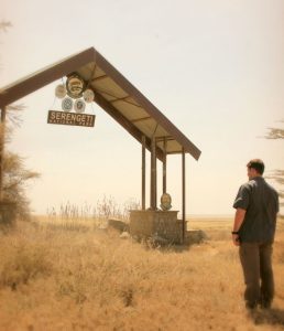 5 Best Affordable African Safari Options In 2024