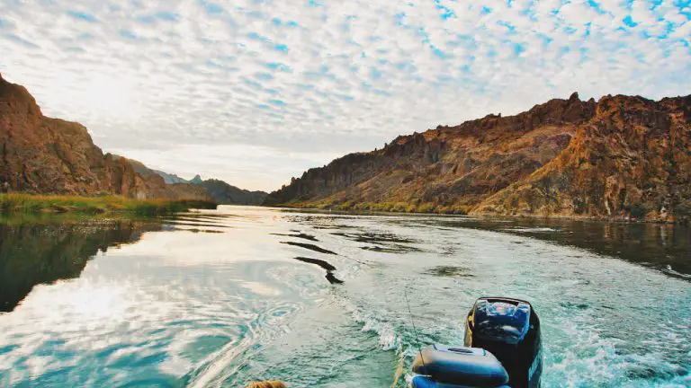 11 Best Fishing Spots in Lake Havasu - WTF Where's the Fish?