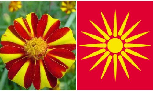 Flags Found In Nature From Around the World